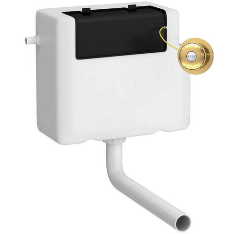 Hudson Reed Universal Access Toilet Cistern &Brushed Brass Flush Plate - XTY8T03