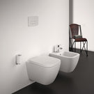 ideal-standard-oleas-white-m3-mechanical-dual-flushplate---r0123ac-