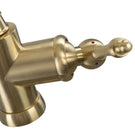 luisina-gold-single-lever-swivel-spout-kitchen-mixer-tap-rc0015018-
