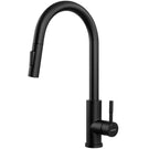 luisina-matt-black-swivel-spout-kitchen-mixer-tap-with-double-jet-spray-pull-out-rc045do079-