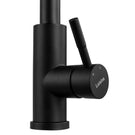 luisina-matt-black-swivel-spout-kitchen-mixer-tap-with-double-jet-spray-pull-out-rc045do079-