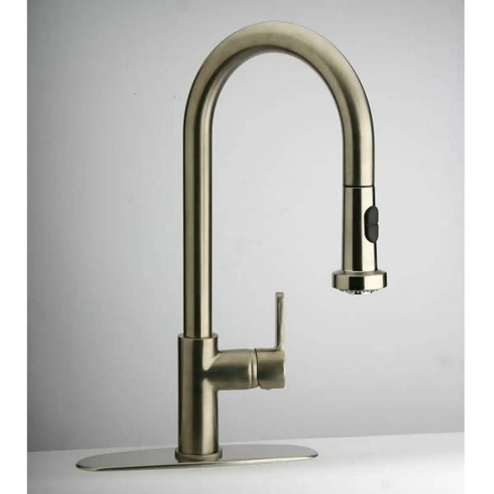 Paini Arena Brushed Finish Pull Out Kitchen Spray Tap 92PW591LL