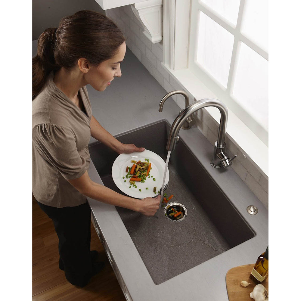 Insinkerator ISE Model 46 Kitchen Sink Waste Disposal Unit & Air Switch ISE46AS
