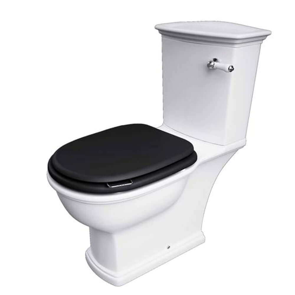 RAK Washington Wood Matt Soft Close Seat and Cover