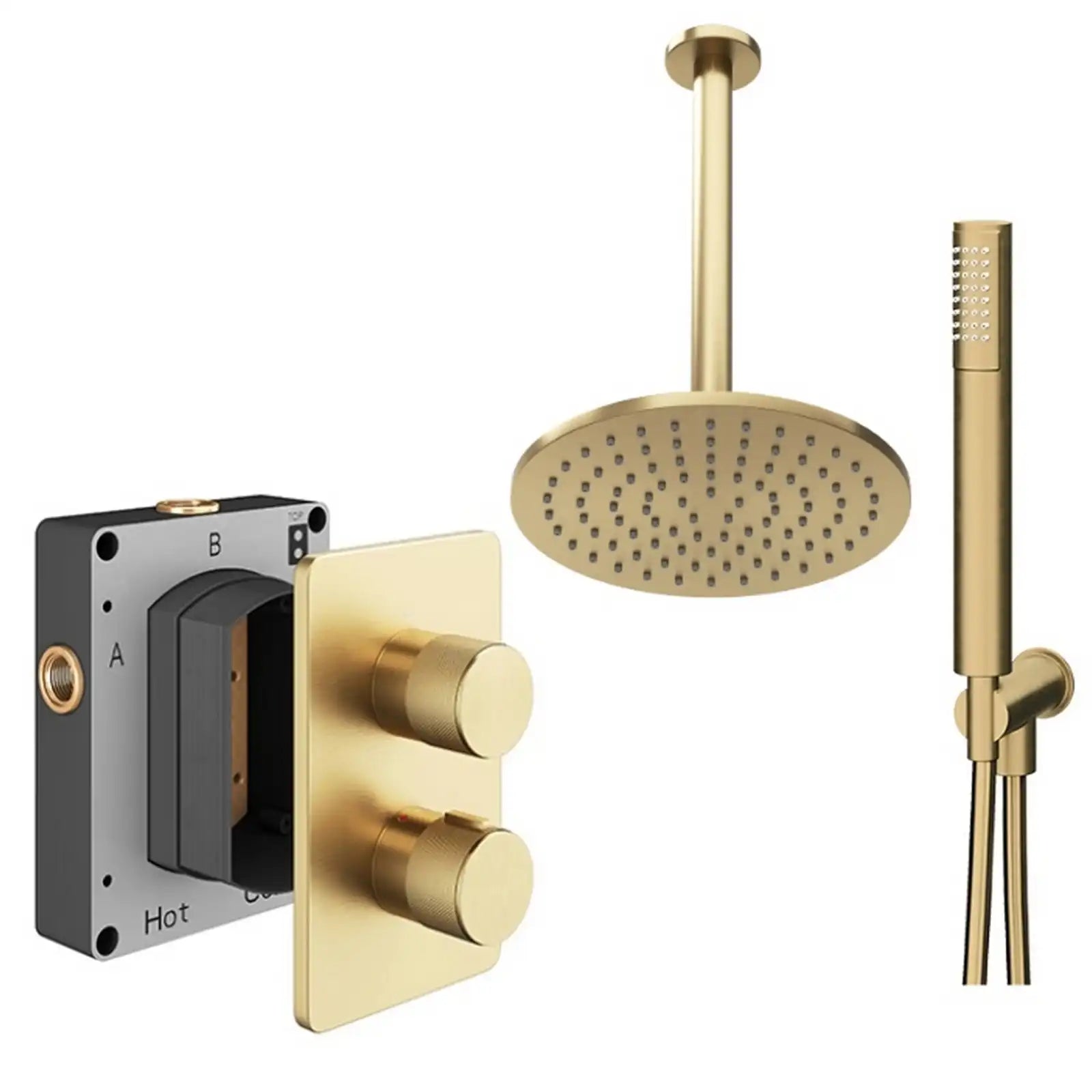 Abacus ISO PRO Fixed Round Shower Head with 2 Outlet Shower Valve, Ceiling Arm & Handset