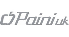 Paini logo