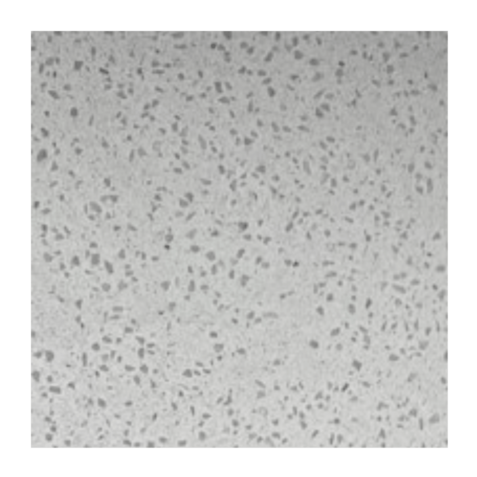 Marble Luxe Premium 10mm Waterproof PVC Wall Panels – 2400mm x 1000mm