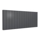 reina-casina-horizontal-double-aluminium-600x1420-anthracite-radiator-