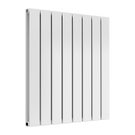 reina-flat-horizontal-double-mild-steel-600x588-white-radiator-