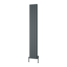 reina-piatto-vertical-double-aluminium-1800x295-anthracite-radiator-